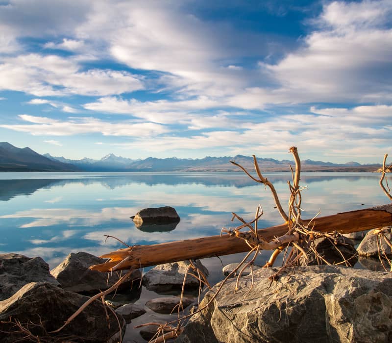 A calm, reflective view of Lake Pukaki with a piece of driftwood on rocky shores in the foreground and the snow-capped peak of Mount Cook in the far distance under a cloudy blue sky.