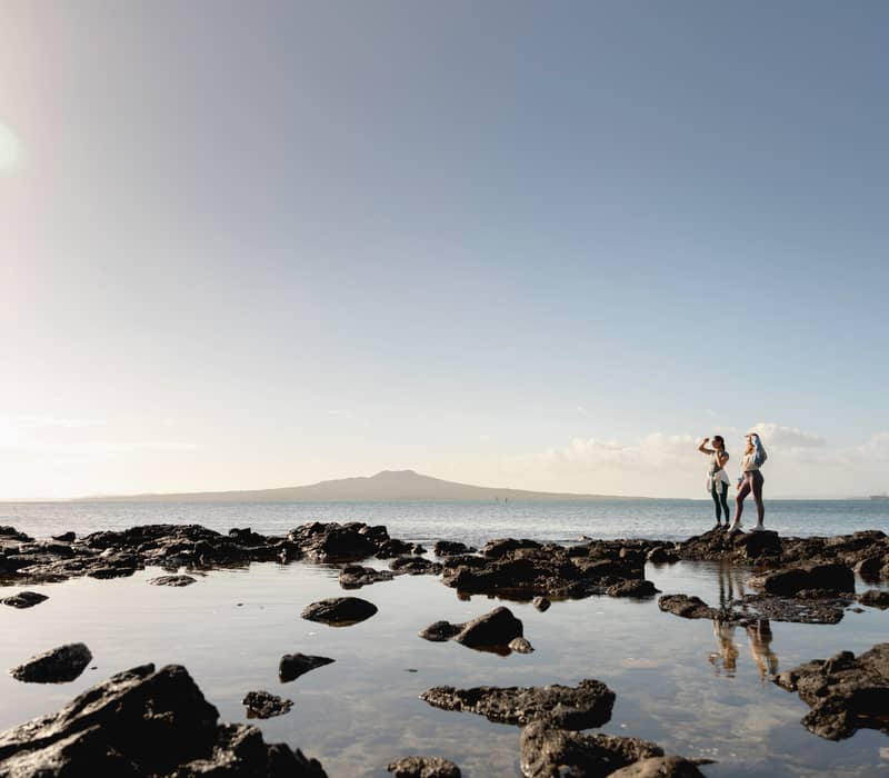 North Island Highlights