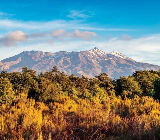 Mount Ruapehu with snow-capped peaks and surrounding forest in New Zealand.