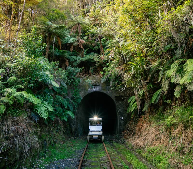 A rail cart emerging from a dark tunnel surrounded by dense green trees and ferns in a forest.