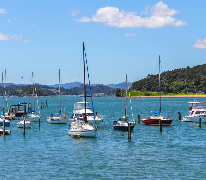 Multiple sailboats anchored in a bright blue bay with lush green hills and a sandy beach in the distance.
