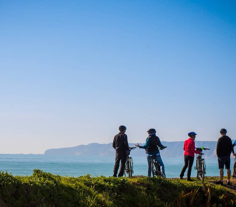 Group of cyclists with helmets standing by the ocean on a grassy cliff under a blue sky.