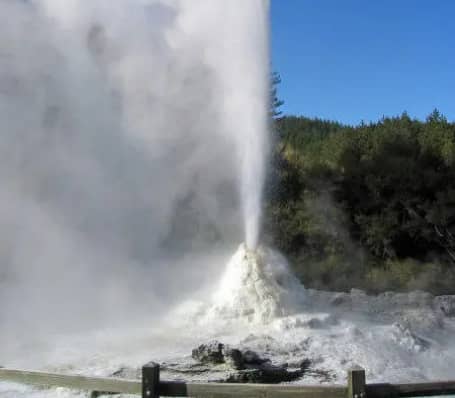 Geyser erupting with steam and water in a natural landscape with trees under blue sky.