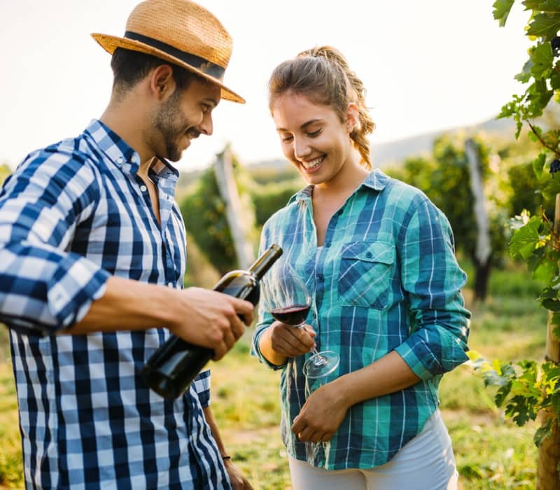 Man pours red wine into glass held by woman in vineyard setting.