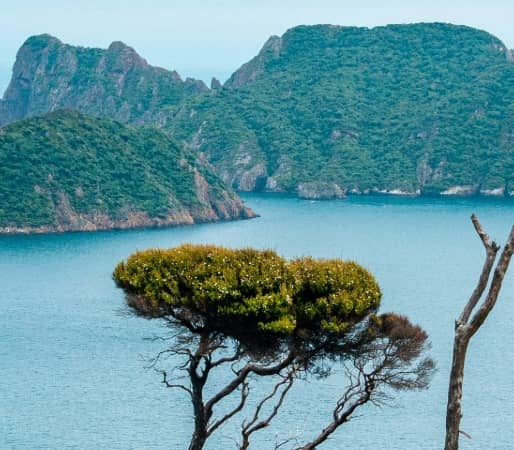 A view of the blue sea and small islands surrounding Steward island
