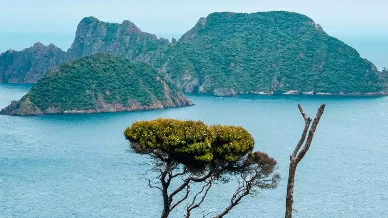 A view of the blue sea and small islands surrounding Steward island